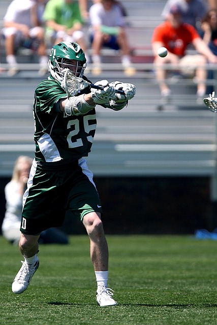 赛事的焦点 赛事的焦点