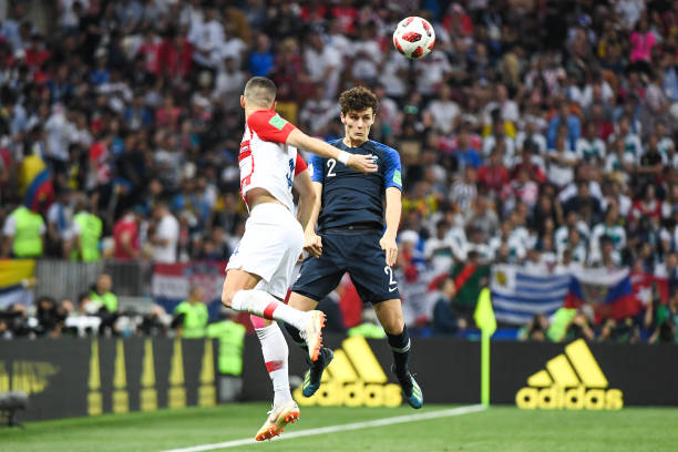 最终成长为 最终成长为